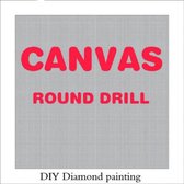 Diamond Painting - Lege canvas met doorzichtige beschermfolie - 40X50 cm - Voor ronde steentjes