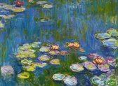 Bluebird Claude Monet - Puzzle Water 3000 pièces
