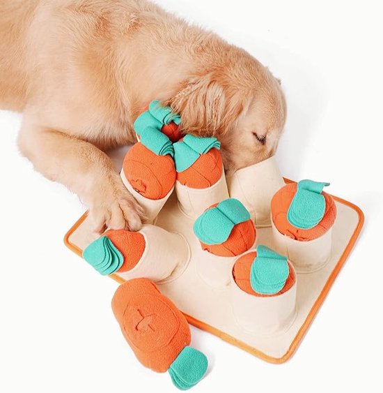 DIY Treat Toys to Keep Your Dog Busy  Jeu chien, Jouet chien, Jeux d  intelligence