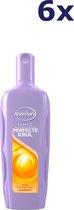 6x Andrelon Shampooing Perfect Curl XL taille 450 ml