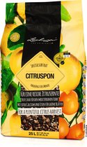 LECHUZA-CITRUSPON 25 litres - Substrat végétal en pot organo-minéral - Convient à toutes les plantes d'agrumes