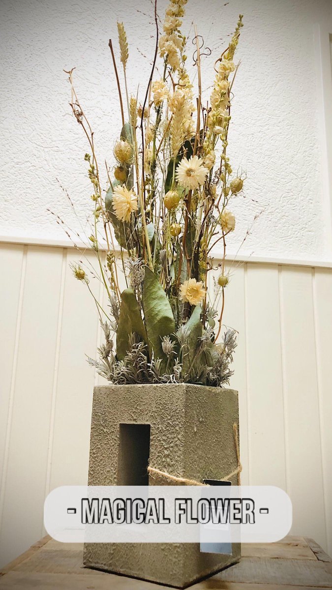 Magical Flower Bloemschik Pakket Droogbloemen |Bloementoren Maken DIY Volwassenen