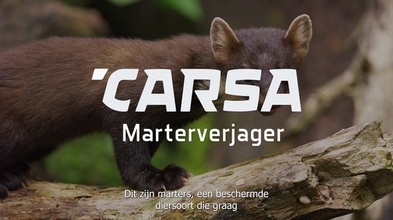 Carsa®