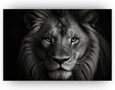 Leeuw close-up - Wilde dieren schilderij op canvas - Muurdecoratie leeuw - Schilderij vintage - Canvas schilderijen woonkamer - Slaapkamer accessoires - 70 x 50 cm 18mm