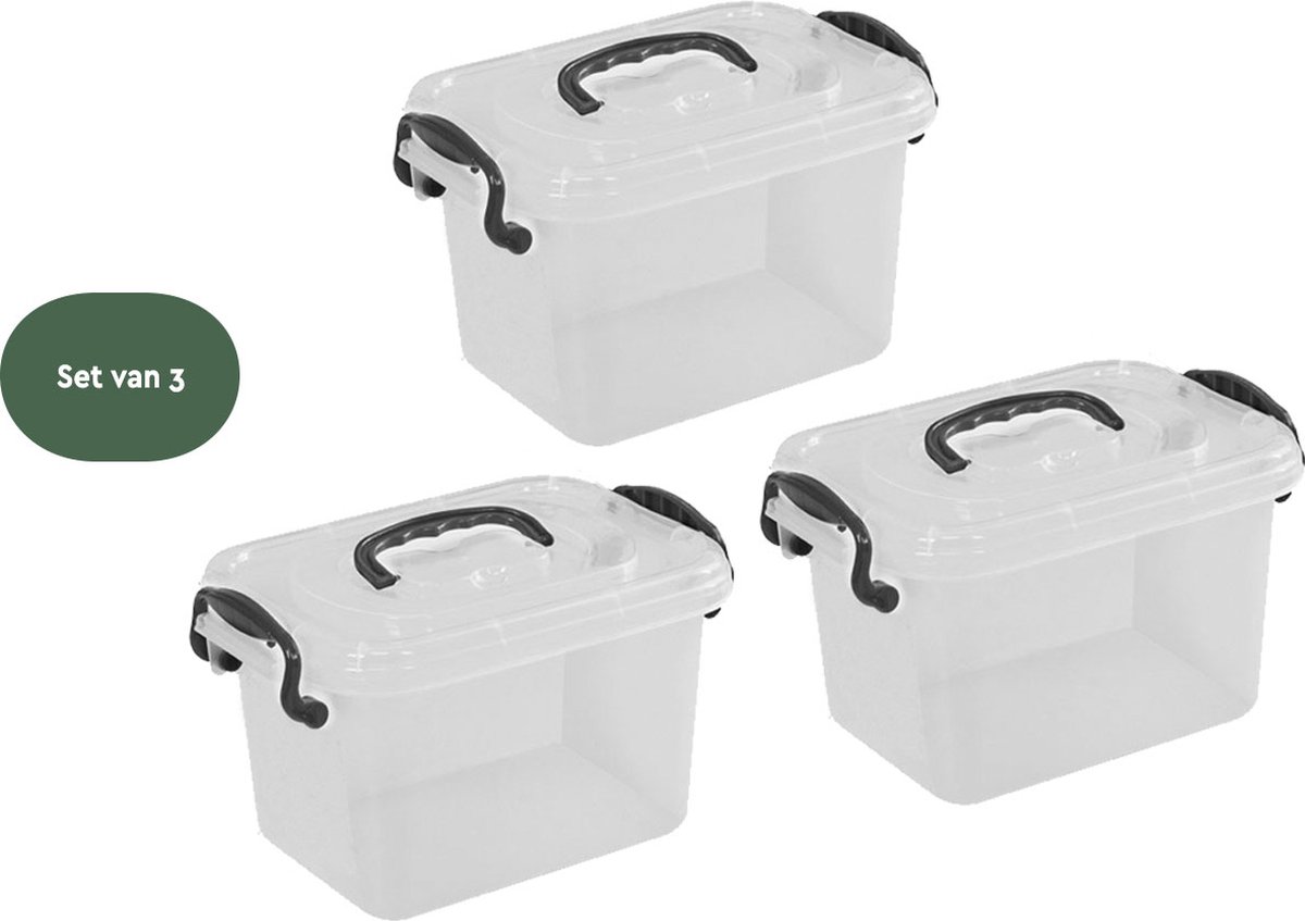 BRASQ Plastic Opbergbox 11 Liter - Set van 3 - Opbergdoos met deksel