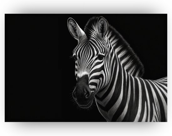 Zebra in de sneeuw poster - Winter poster - Muurdecoratie zwart wit - Muurdecoratie Zebra in de sneeuw poster - Winter poster - Muurdecoratie zwart wit - Muurdecoratie