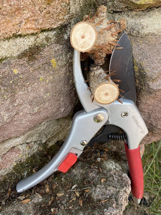 snoeischaar tot 60% krachtbesparing boomschaar rozenschaar takkenschaar snijdt tot 26 mm diameter ergonomische greep voor rechtshandigen en linkshandigen fruitboomschaar rolschaar — afbeelding 2