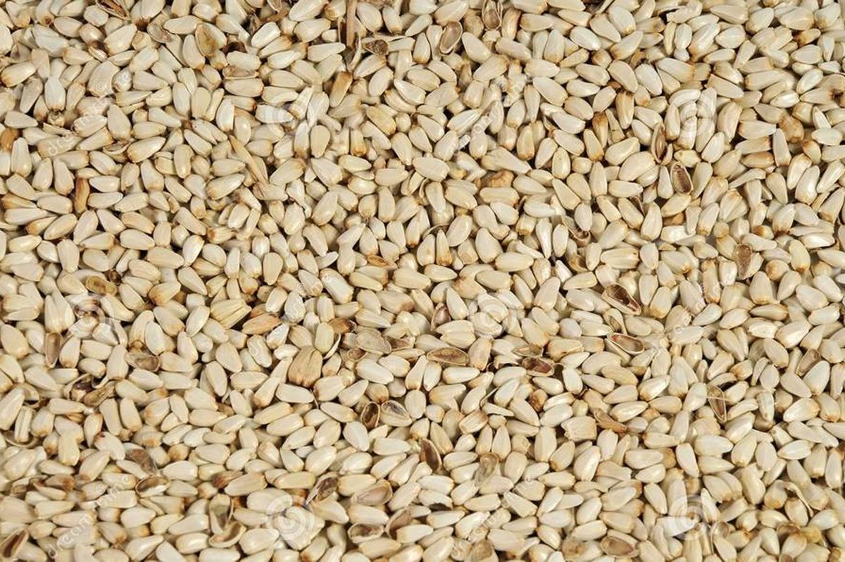 Vogelvoer- Vogelzaad- Kardizaad- Saffloorpitten- Saffloerzaad- Cardy- 2 kilo