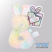 VIB® - Rammelaar Konijn VIB Disco (Limited Edition) - Babykleertjes - Baby cadeau