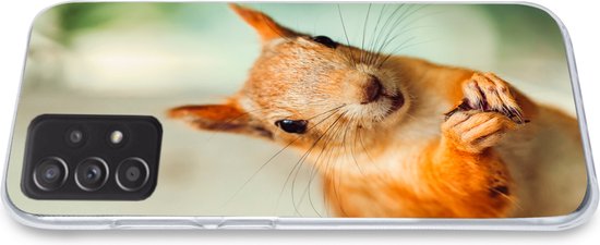 Coque Samsung Galaxy A33 5G - Écureuil - Drôle - Noix - Enfants - Garçons - Filles - Enfant - Coque de téléphone en Siliconen