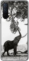 Geschikt voor OnePlus Nord CE 5G hoesje - Olifant - Boom - Dieren - Zwart wit - Siliconen Telefoonhoesje