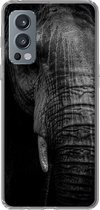 Telefoonhoesje Geschikt voor OnePlus Nord 2 5G hoesje - Olifant - Dier - Portret - Siliconen Telefoonhoesje