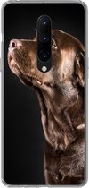 Geschikt voor OnePlus 7 Pro hoesje - Hond - Bruin - Portret - Siliconen Telefoonhoesje