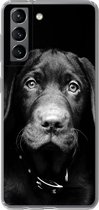 Geschikt voor Samsung Galaxy S21 hoesje - Close-up labrador puppy tegen zwarte achtergrond in zwart-wit - Siliconen Telefoonhoesje