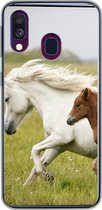 Geschikt voor Samsung Galaxy A40 hoesje - Paarden - Dieren - Gras - Siliconen Telefoonhoesje