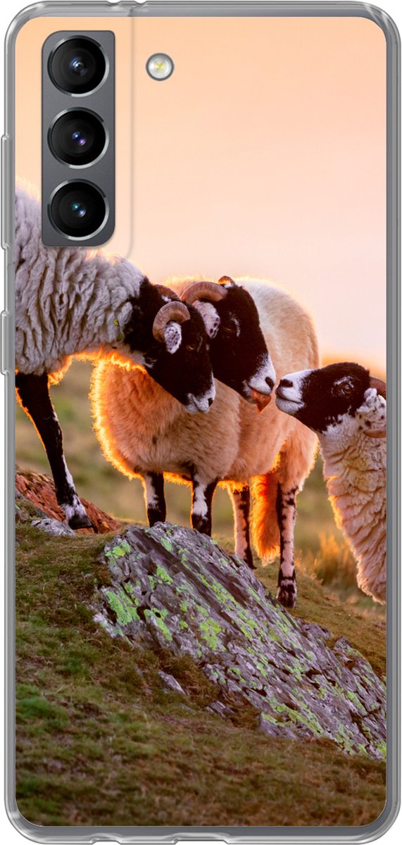 Telefoonhoesje Geschikt voor Samsung Galaxy S21 hoesje - Schapen - Dieren - Zonsondergang - Siliconen Telefoonhoesje Telefoonhoesje