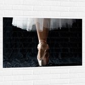 Muursticker - Ballerina - Balet - Schoenen - Dansen - 105x70 cm Foto op Muursticker