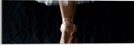 Acrylglas - Ballerina - Balet - Schoenen - Dansen - 60x20 cm Foto op Acrylglas (Wanddecoratie op Acrylaat)