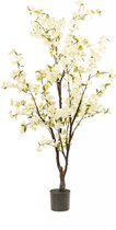 Fleurdirect Kunstplant Cherry Tree - Polyester - Wit - 0 x 175 x 0 cm (BxHxD)
