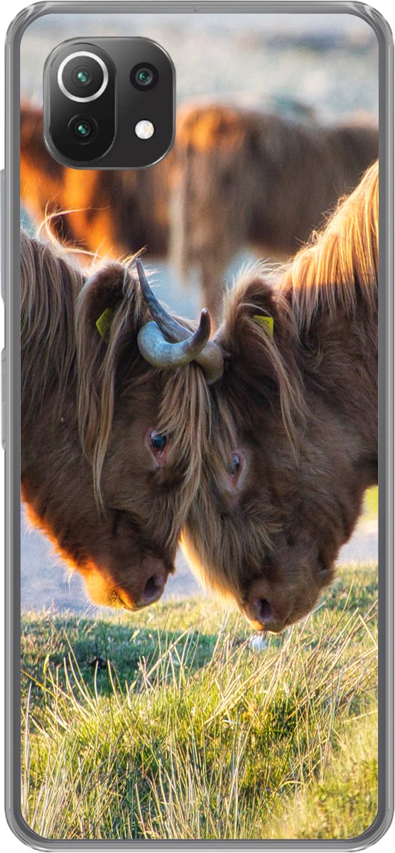 Telefoonhoesje Geschikt voor Xiaomi Mi 11 Lite hoesje - Schotse Hooglanders - Dieren - Zon - Siliconen Telefoonhoesje Telefoonhoesje