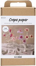 CC Hobbyset Papier Crêpe Fleurs Pastel