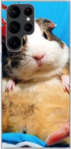 Telefoonhoesje Geschikt voor Samsung Galaxy S22 Ultra hoesje - Cavia - Grappig - Kroon - Kinderen - Jongens - Meisjes - Kindje - Siliconen Telefoonhoesje