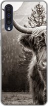 Geschikt voor Samsung Galaxy A50 hoesje - Schotse hooglander - Stier - Zwart - Wit - Siliconen Telefoonhoesje