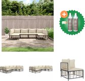 vidaXL 6 delige Loungeset met kussens poly rattan antracietkleurig Loungebank Inclusief Onderhoudsset