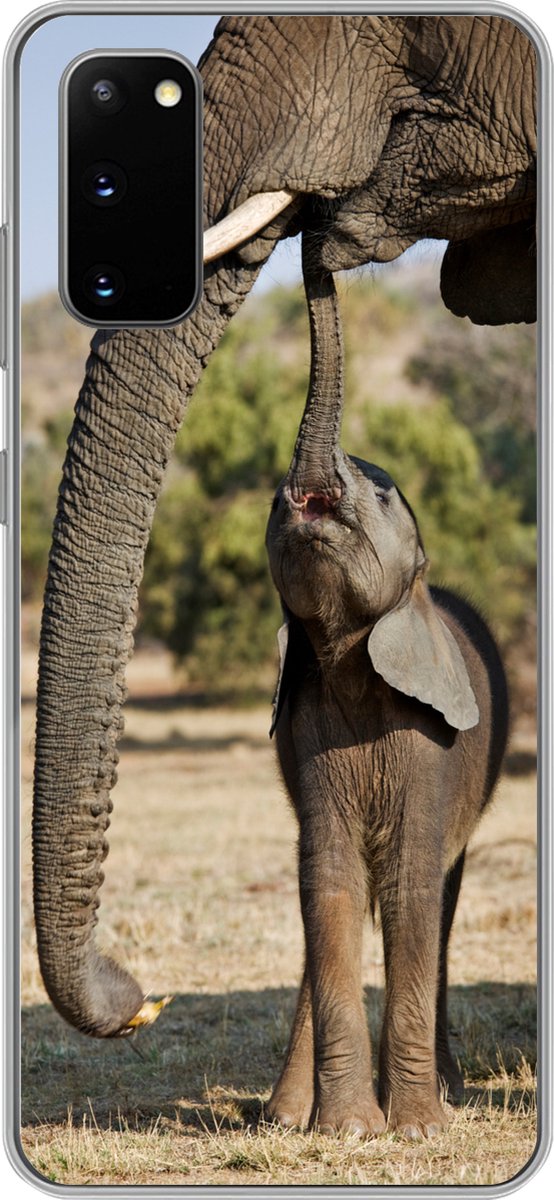 Telefoonhoesje Geschikt voor Samsung Galaxy S20 hoesje - Olifant - Dieren - Gras - Natuur - Siliconen Telefoonhoesje Telefoonhoesje