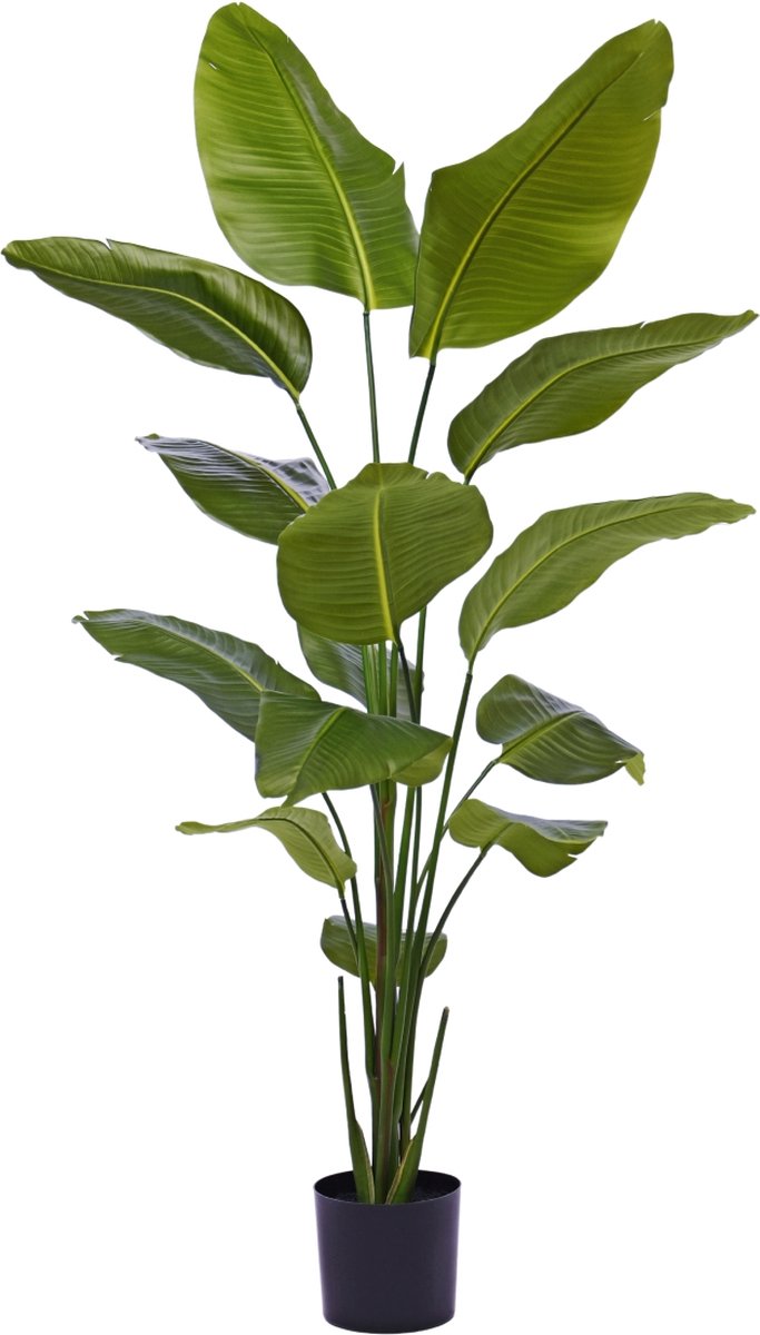 Strelitzia Nicolai kunstplant 175cm