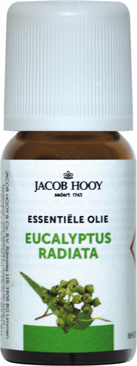 Goedkoopste Jacob Hooy Eucalyptus Radiata Olie 10 ml