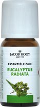 Jacob Hooy Eucalyptus Radiata Olie 10 ml
