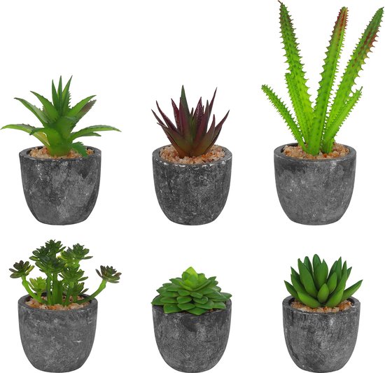 Paars Keramiek Modern kunstplanten kopen? | Vergelijk de beste