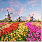 Tuin poster Molen - Tulpen - Bloemen - Regenboog - Hollands - 200x200 cm - Tuindoek - Buitenposter