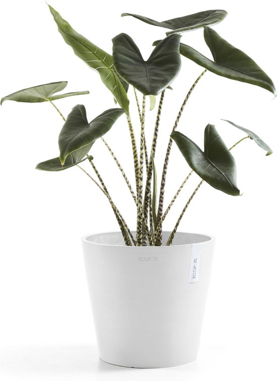 Ecopots Amsterdam 30 - Pure White - Ø30 x H25,4 cm - Ronde witte bloempot