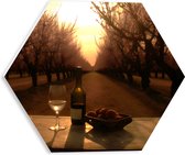 PVC Schuimplaat Hexagon - Wijn - Fruit - Glas - Landschap - Bomen - 30x26.1 cm Foto op Hexagon (Met Ophangsysteem)