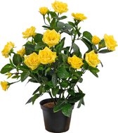 Greenmoods Kunstplanten - Kunstplant - Mini Rose - Geel - 35 cm