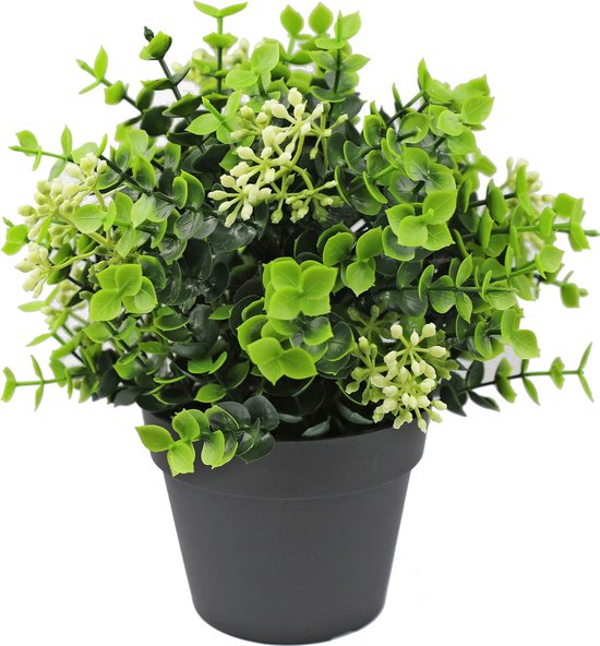 Plante artificielle Eucalyptus mix 22cm UV - pour l'intérieur et l'extérieur
