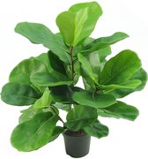 Kunstplant Tabaksplant Fiddle Leaf 45 cm