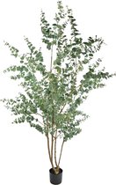 Kunstplant Eucalyptus 240 cm