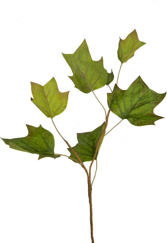 Greenmoods Kunstplanten - Kunstplant - Kunsttak - Eikenblad - Zijde - Groen - 84 cm