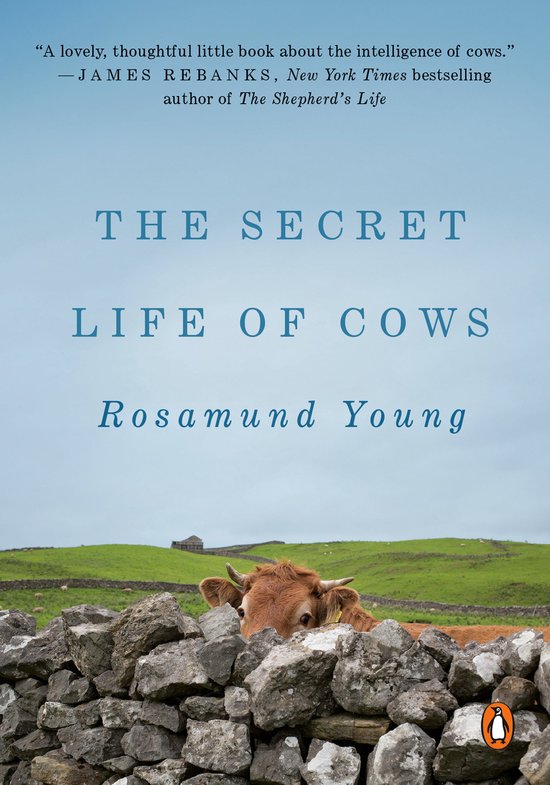 Boekomslag met de titel 'The Secret Life of Cows' en een koe die over een stenen muur kijkt.