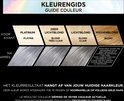 Kleurengids toont voor-en-na resultaten van haarverf op platina, zeer lichtblond, lichtblond en middenblond haar.