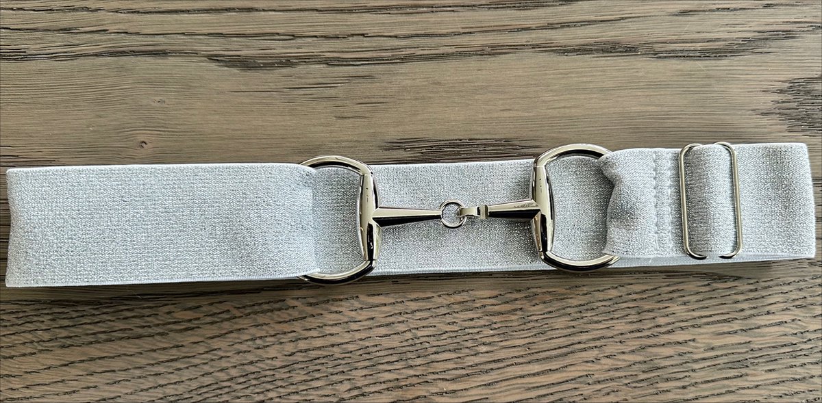Paardrijriem - Glitter Zilver - Zilver - Trensriem - Paardrij Riem - Paardrijden - Riemen