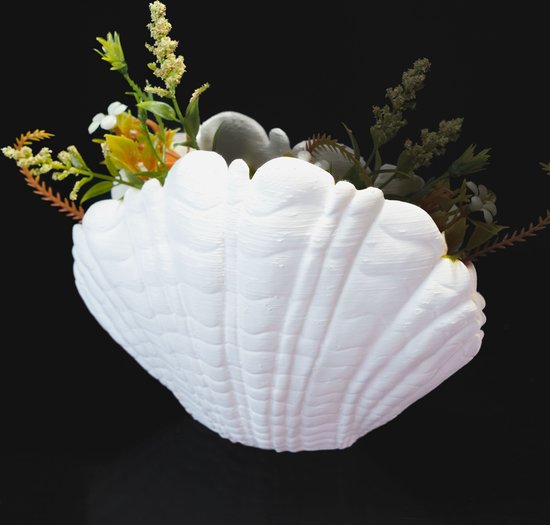 Vaas - Zeeschelp | Shell Aquarium Decoratie | Strand | Zoetwater | Zoutwater | Fish Tank | Aquascape | Bloemenvaas | Plantenvaas | 3D Print