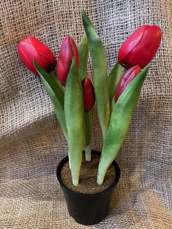 Kunstbloem in pot Tulp - Rood / Red - Real touch tulpen - 27 cm ...
