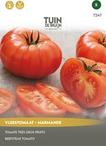 Graines Jardin de Bruijn® - Tomate de boeuf Marmande - 150 g par fruit - environ 75 graines