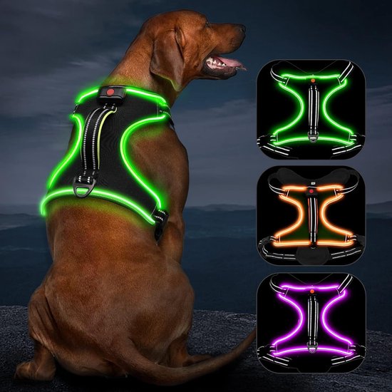 Harnais pour chien Harnais lumineux rechargeable pour chiens Harnais pour  chien... | bol