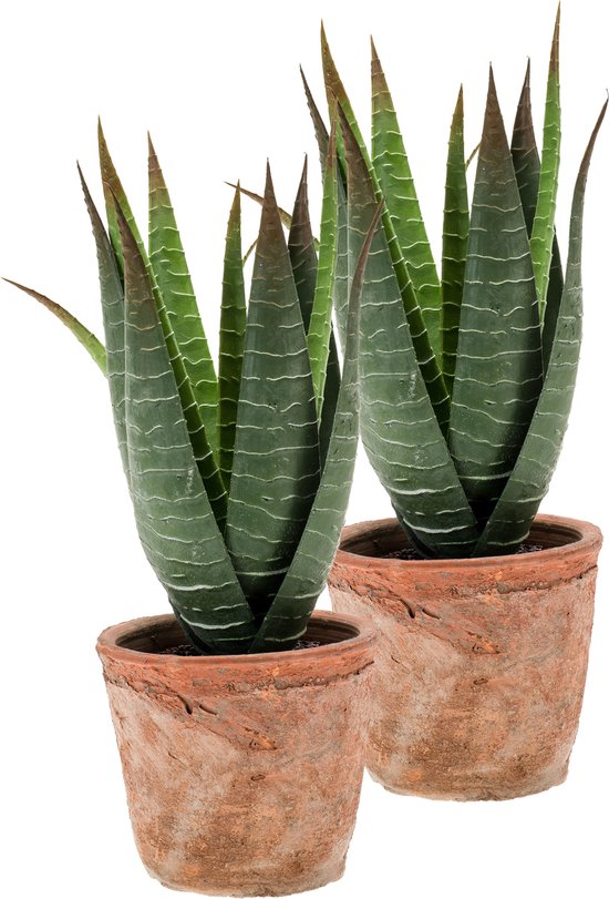 Kunstplant Aloe Vera - 2x - groen - in oude terracotta pot - 23 cm