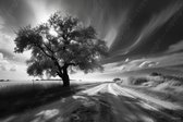 JJ-Art (Glas) 120x80 | Landschap met boom in zwart wit, ondergaande zon, weg, wolken | zandweg, zand, modern | Foto-schilderij-glasschilderij-acrylglas-acrylaat-wanddecoratie